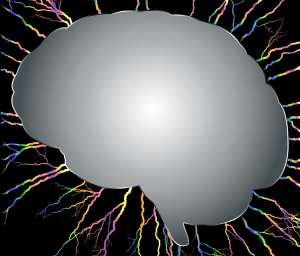 passage-melete.com.cerveau