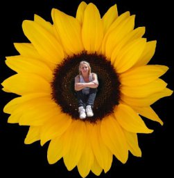 tournesol